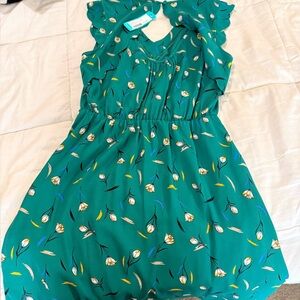 41 Hawthorn Green Floral Dress